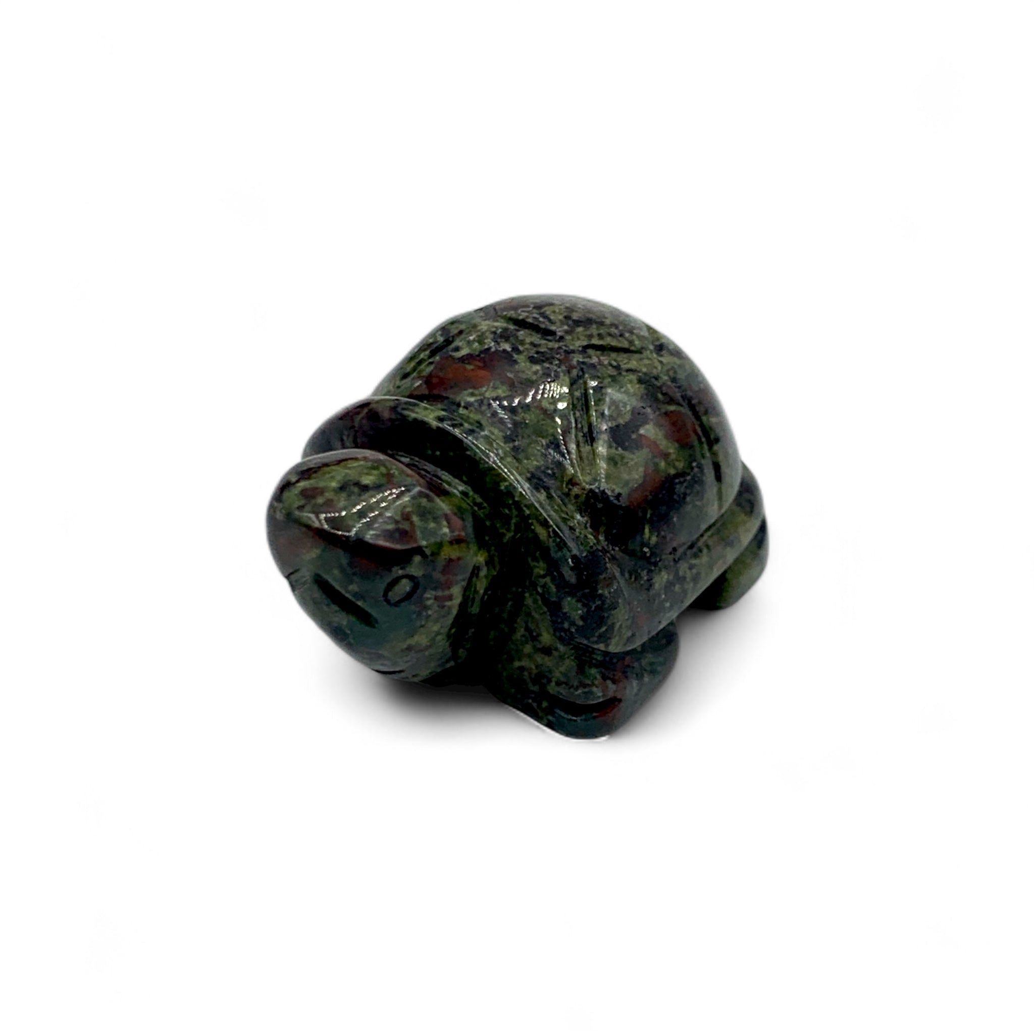 Dragon's Blood Turtle $30